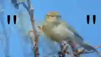 Image: Slow Zoom Long Pause (video still), 2015