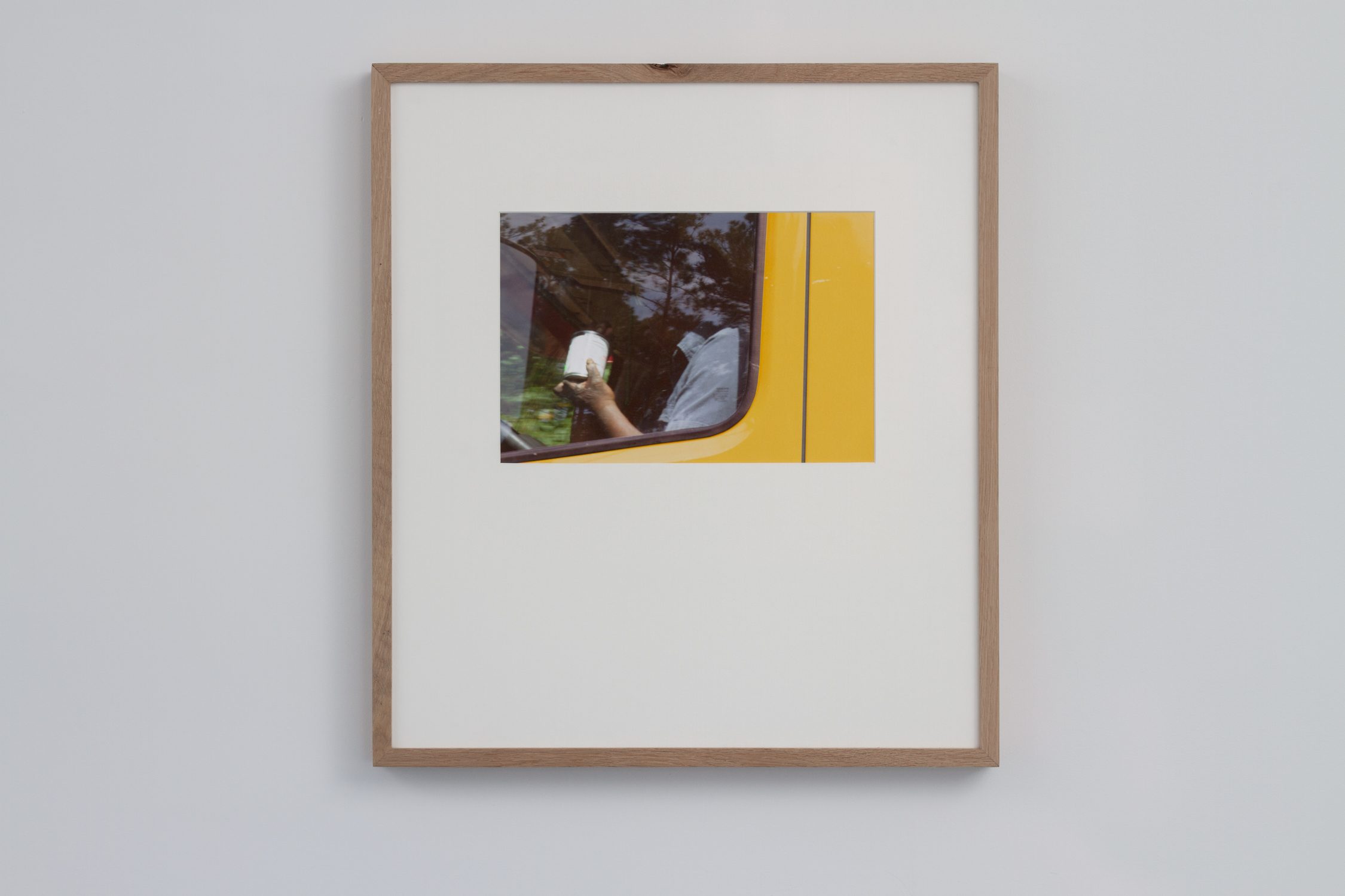 Documentation of The king flower of his flock (soup)
